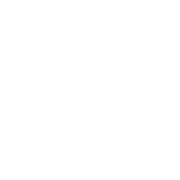 Google plus icon